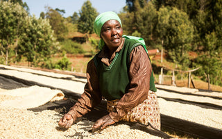 A spotlight on Nyeri County