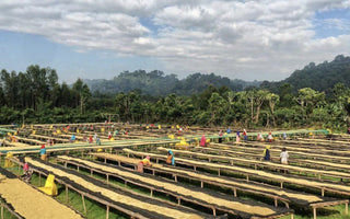 Final Ethiopian for 2020: Genji Challa
