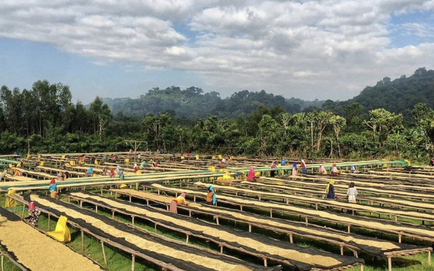 Final Ethiopian for 2020: Genji Challa