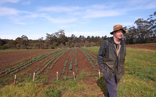 Producer Story: Phil Lavers, Moonacres. NSW