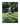 Producer Series Audiel Moreno Honduras Coffee Farm
