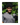 Producer Series Audiel Moreno Honduras Specialty Coffee Portrait