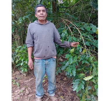 Mecca Coffee - Roman Cruz - Central America, Coffee Beans, GST Exempt, Mexico, Single Origin