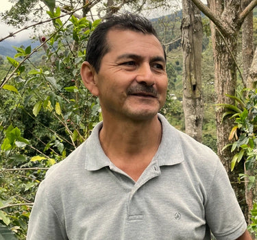 Mecca Coffee Producer Series Jose Salazar Colombia Single Origin