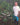 Mecca Coffee Producer Series Jose Salazar standing near coffee plant Colombia Single Origin
