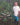 Mecca Coffee Producer Series Jose Salazar standing near coffee plant Colombia Single Origin