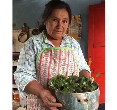 Amparo Moncayo