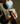 Person pouring a drink from a blue thermos into a glass with a creamy top.
