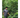 Mecca Coffee - Audiel Moreno - Archived Coffee, Bright & Juicy, Central America, Coffee Beans, GST Exempt, Honduras, Single Origin
