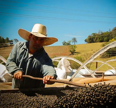 Mecca Coffee - Luciano Vicente <br>Mountain Culture x Mecca Collaboration - Brazil, Coffee Beans, GST Exempt, Single Origin, South America, Wild & Funky