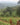 Mecca Coffee - Mikuba - Africa, Burundi, Light & Floral, Single Origin