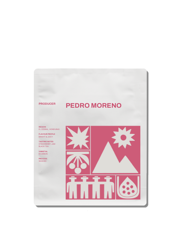 Photo of PEDRO MORENO | HONDURAS