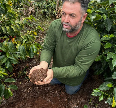 Mecca Coffee - João Hamilton - Brazil, Bright & Juicy, Single Origin, South America