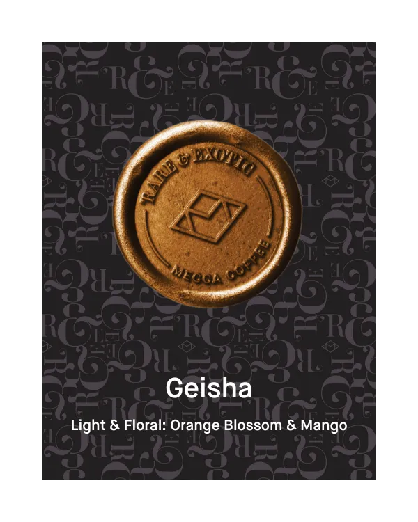 Photo of Benjamin Paz - Geisha - No.1 Cup of Excellence Winner