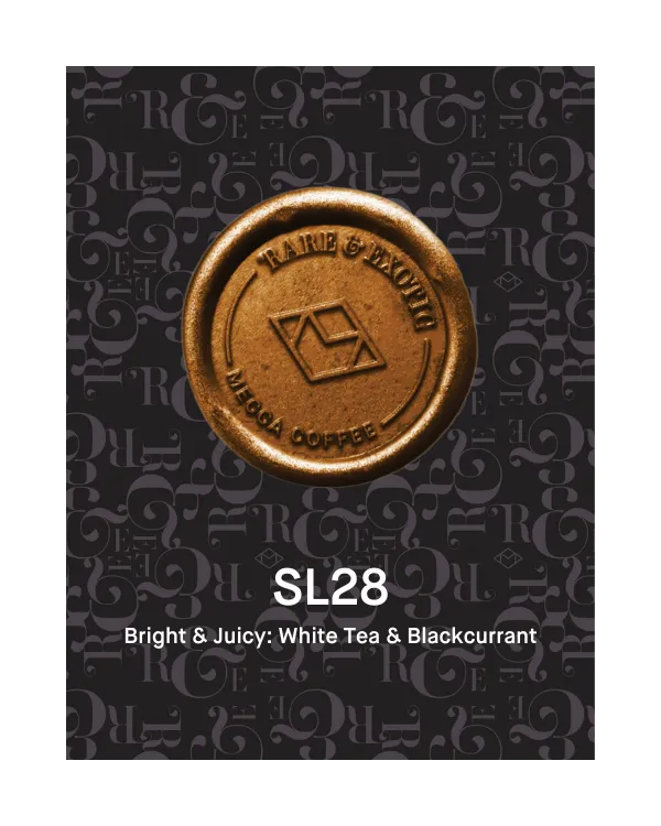 Photo of Benjamin Paz - SL28
