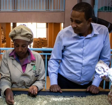 Mecca Coffee - Adorsi - Africa, Ethiopia, Light & Floral, Single Origin