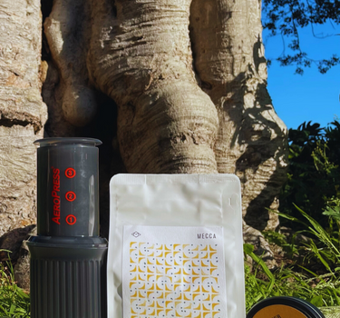 The Wanderer Gift Pack